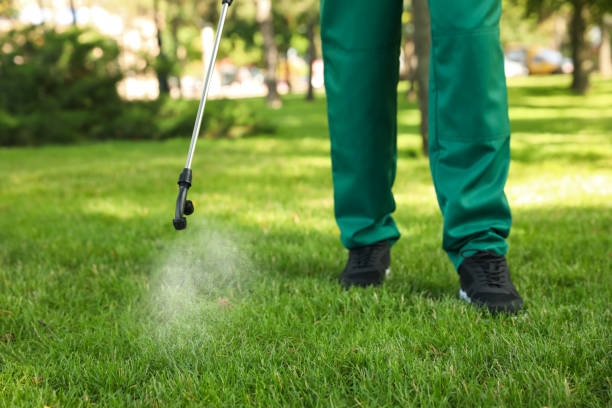 Best Local Pest Control Services  in Leon Valley, TX