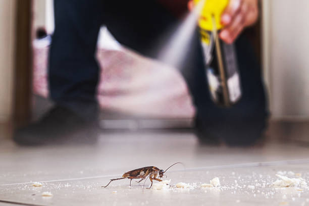 Best Pest Control Near Me in Leon Valley, TX